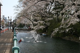 高崎城お堀と桜